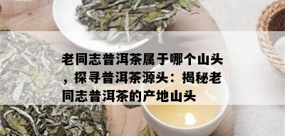 老同志普洱茶属于哪个山头，探寻普洱茶源头：揭秘老同志普洱茶的产地山头