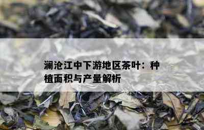 澜沧江中下游地区茶叶：种植面积与产量解析