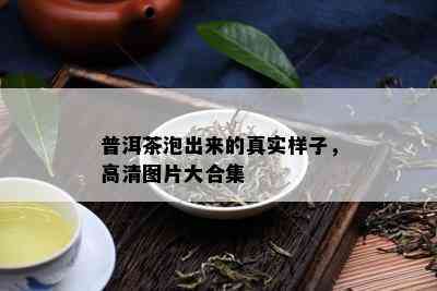 普洱茶泡出来的真实样子，高清图片大合集