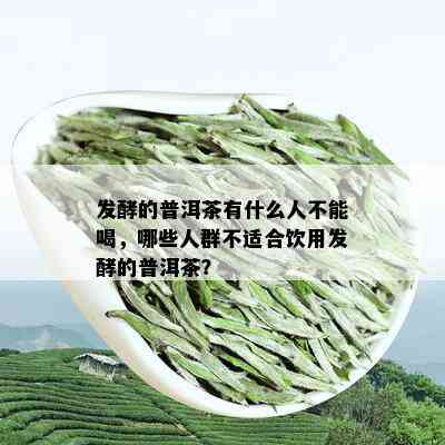 发酵的普洱茶有什么人不能喝，哪些人群不适合饮用发酵的普洱茶？