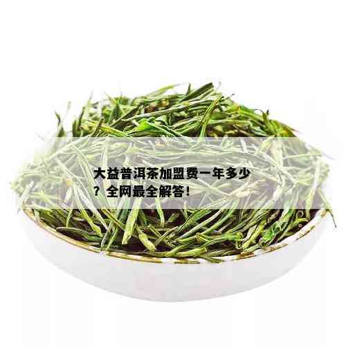 大益普洱茶加盟费一年多少？全网最全解答！