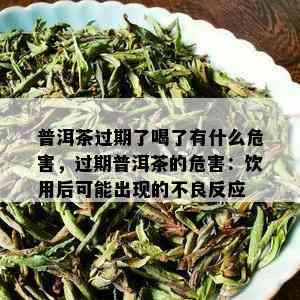 普洱茶过期了喝了有什么危害，过期普洱茶的危害：饮用后可能出现的不良反应