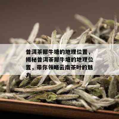 普洱茶犀牛塘的地理位置，揭秘普洱茶犀牛塘的地理位置，带你领略云南茶叶的魅力