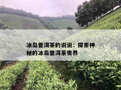 冰岛普洱茶的说说：探索神秘的冰岛普洱茶世界