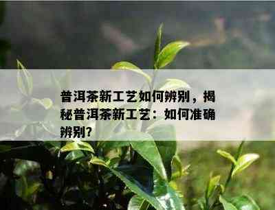 普洱茶新工艺如何辨别，揭秘普洱茶新工艺：如何准确辨别？