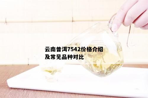 云南普洱7542价格介绍及常见品种对比