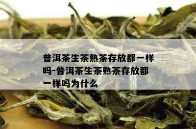 普洱茶生茶熟茶存放都一样吗-普洱茶生茶熟茶存放都一样吗为什么