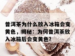 普洱茶为什么放入冰箱会变黄色，揭秘：为何普洱茶放入冰箱后会变黄色？