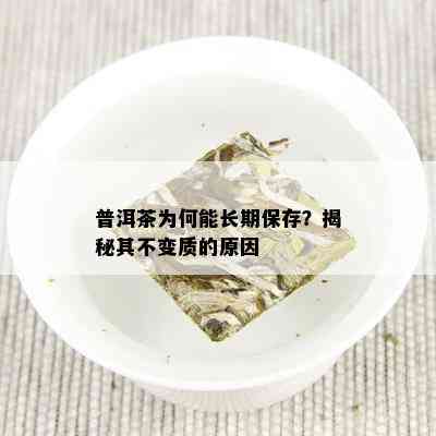 普洱茶为何能长期保存？揭秘其不变质的原因