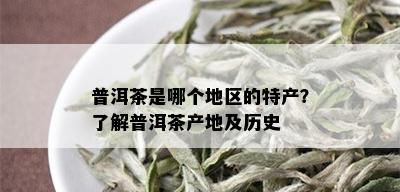 普洱茶是哪个地区的特产？了解普洱茶产地及历史