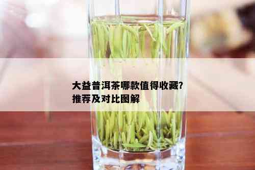 大益普洱茶哪款值得收藏？推荐及对比图解