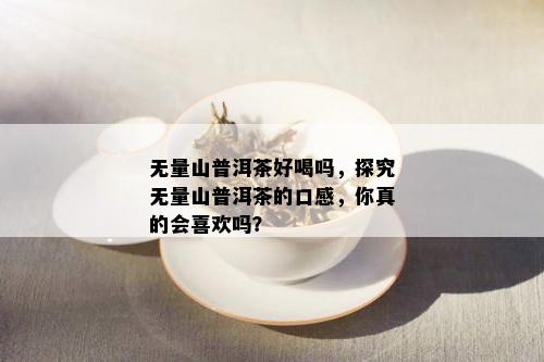 无量山普洱茶好喝吗，探究无量山普洱茶的口感，你真的会喜欢吗？