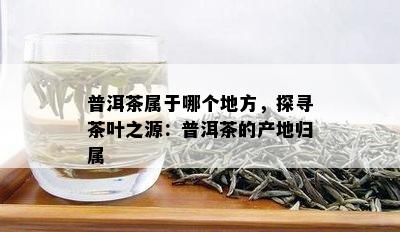 普洱茶属于哪个地方，探寻茶叶之源：普洱茶的产地归属