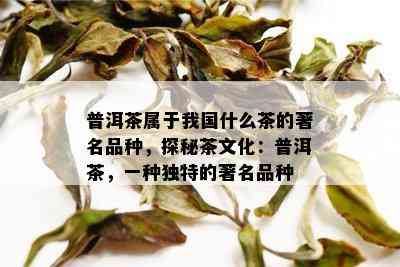 普洱茶属于我国什么茶的著名品种，探秘茶文化：普洱茶，一种独特的著名品种