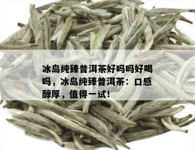 冰岛纯臻普洱茶好吗吗好喝吗，冰岛纯臻普洱茶：口感醇厚，值得一试！