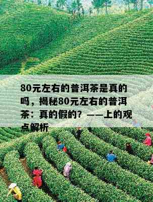 80元左右的普洱茶是真的吗，揭秘80元左右的普洱茶：真的假的？——上的观点解析