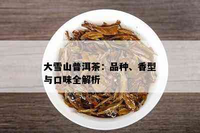 大雪山普洱茶：品种、香型与口味全解析