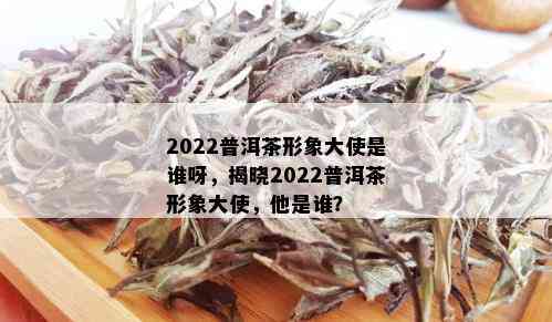 2022普洱茶形象大使是谁呀，揭晓2022普洱茶形象大使，他是谁？