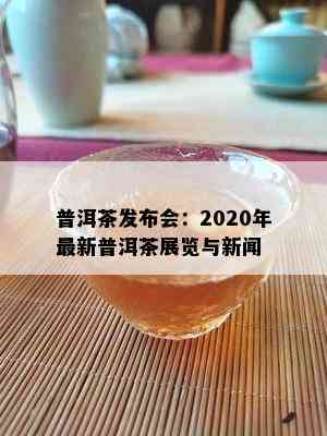 普洱茶发布会：2020年最新普洱茶展览与新闻