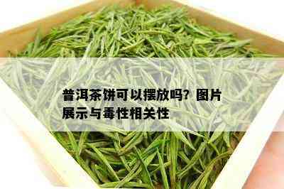 普洱茶饼可以摆放吗？图片展示与性相关性