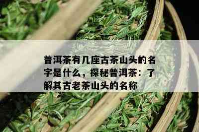 普洱茶有几座古茶山头的名字是什么，探秘普洱茶：了解其古老茶山头的名称