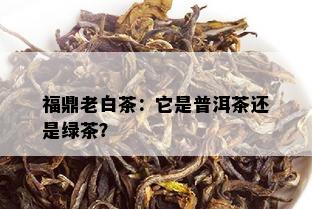 福鼎老白茶：它是普洱茶还是绿茶？