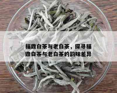 福鼎白茶与老白茶，探寻福鼎白茶与老白茶的韵味差异