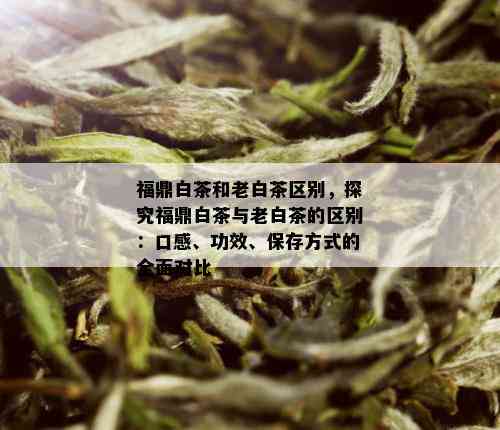 福鼎白茶和老白茶区别，探究福鼎白茶与老白茶的区别：口感、功效、保存方式的全面对比