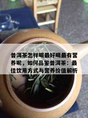 普洱茶怎样喝更好喝最有营养呢，如何品鉴普洱茶：更佳饮用方式与营养价值解析