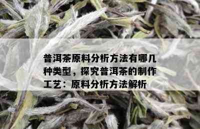 普洱茶原料分析方法有哪几种类型，探究普洱茶的制作工艺：原料分析方法解析