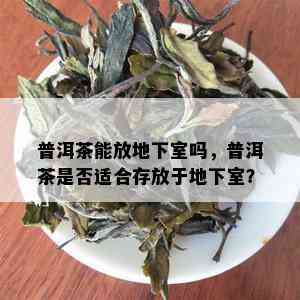 普洱茶能放地下室吗，普洱茶是否适合存放于地下室？