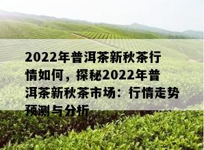 2022年普洱茶新秋茶行情如何，探秘2022年普洱茶新秋茶市场：行情走势预测与分析