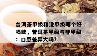 普洱茶甲级和没甲级哪个好喝些，普洱茶甲级与非甲级：口感差异大吗？