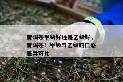 普洱茶甲级好还是乙级好，普洱茶：甲级与乙级的口感差异对比