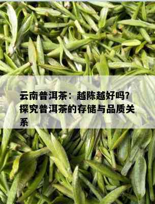 云南普洱茶：越陈越好吗？探究普洱茶的存储与品质关系