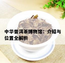 中华普洱茶博物馆：介绍与位置全解析