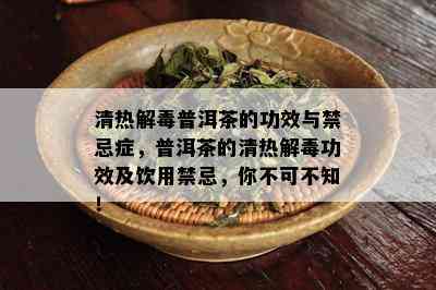 清热解普洱茶的功效与禁忌症，普洱茶的清热解功效及饮用禁忌，你不可不知！