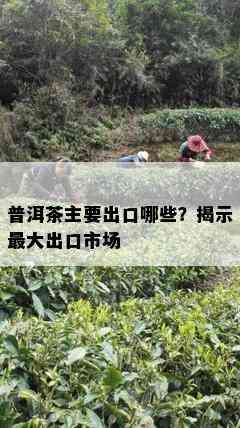 普洱茶主要出口哪些？揭示更大出口市场