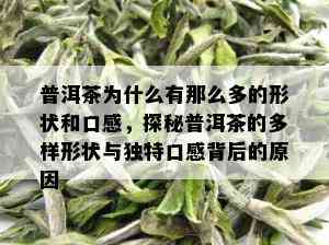 普洱茶为什么有那么多的形状和口感，探秘普洱茶的多样形状与独特口感背后的原因