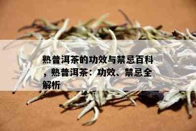 熟普洱茶的功效与禁忌百科，熟普洱茶：功效、禁忌全解析