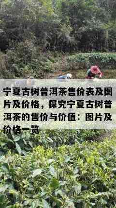 宁夏古树普洱茶售价表及图片及价格，探究宁夏古树普洱茶的售价与价值：图片及价格一览