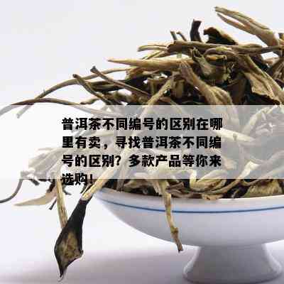 普洱茶不同编号的区别在哪里有卖，寻找普洱茶不同编号的区别？多款产品等你来选购！