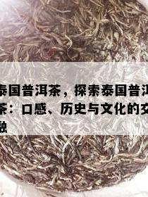 泰国普洱茶，探索泰国普洱茶：口感、历史与文化的交融