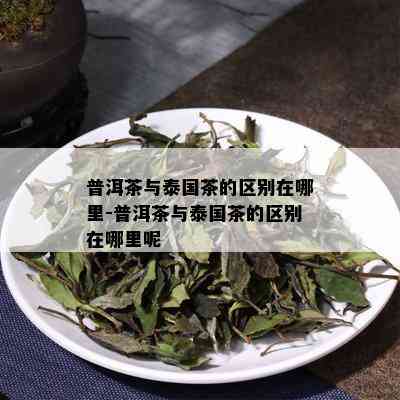 普洱茶与泰国茶的区别在哪里-普洱茶与泰国茶的区别在哪里呢