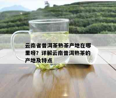 云南省普洱茶熟茶产地在哪里呀？详解云南普洱熟茶的产地及特点