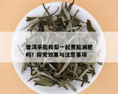 普洱茶能和梨一起煮能减肥吗？探究效果与注意事项