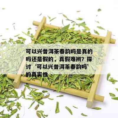 可以兴普洱茶春韵吗是真的吗还是假的，真假难辨？探讨‘可以兴普洱茶春韵吗’的真实性