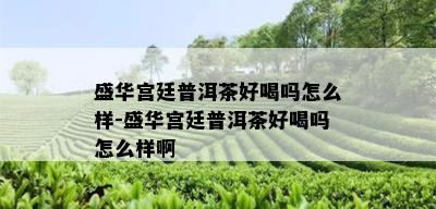 盛华宫廷普洱茶好喝吗怎么样-盛华宫廷普洱茶好喝吗怎么样啊