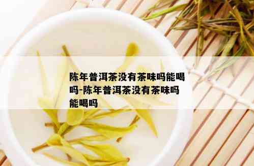 陈年普洱茶没有茶味吗能喝吗-陈年普洱茶没有茶味吗能喝吗