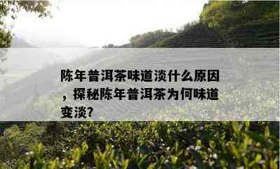 陈年普洱茶味道淡什么原因，探秘陈年普洱茶为何味道变淡？